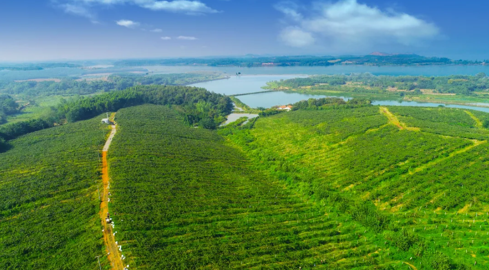 3 調(diào)研.png.png