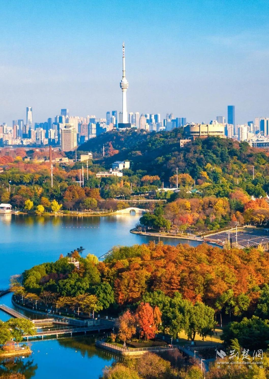 979a27797f6e40d009aa7705cfaea058_1058X1489_20251220150622